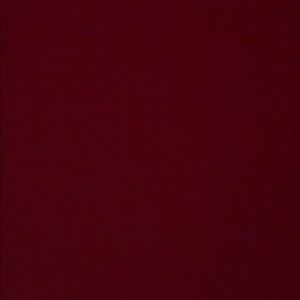 Meet your Posher, Dalila